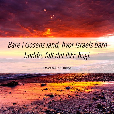 Picture 06 - 2 Mosebok 9:26 NORSK - Bare i Gosens land, hvor Israels barn bodde, falt - Bible Verse Picture