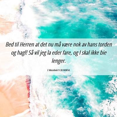 Picture 06 - 2 Mosebok 9:28 NORSK - Bed til Herren at det nu må være nok av hans - Bible Verse Picture