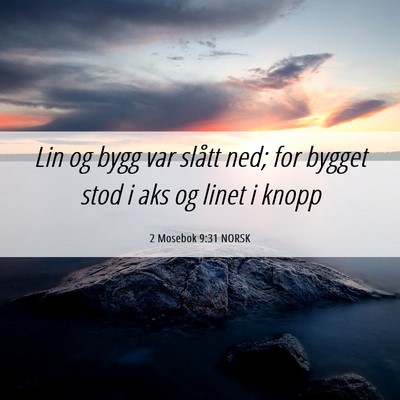 Picture 06 - 2 Mosebok 9:31 NORSK - Lin og bygg var slått ned; for bygget stod i aks - Bible Verse Picture