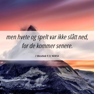 Picture 06 - 2 Mosebok 9:32 NORSK - men hvete og spelt var ikke slått ned, for de - Bible Verse Picture