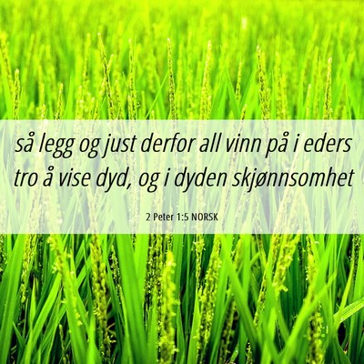 Picture 06 - 2 Peter 1:5 NORSK - så legg og just derfor all vinn på i eders tro - Bible Verse Picture