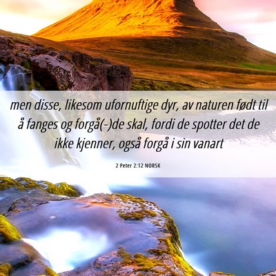 Picture 06 - 2 Peter 2:12 NORSK - men disse, likesom ufornuftige dyr, av naturen - Bible Verse Picture