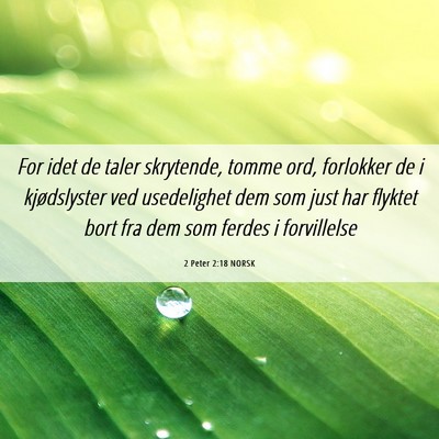 Picture 06 - 2 Peter 2:18 NORSK - For idet de taler skrytende, tomme ord, forlokker - Bible Verse Picture