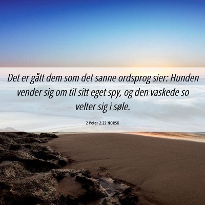 Picture 06 - 2 Peter 2:22 NORSK - Det er gått dem som det sanne ordsprog sier: - Bible Verse Picture