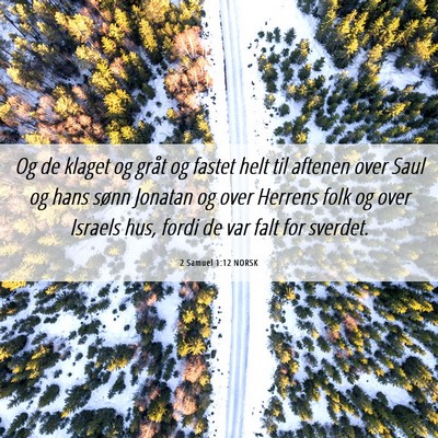 Picture 06 - 2 Samuel 1:12 NORSK - Og de klaget og gråt og fastet helt til aftenen - Bible Verse Picture