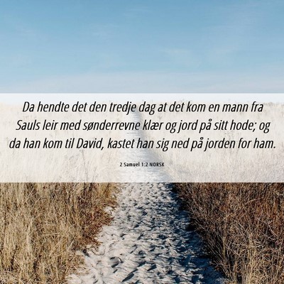 Picture 06 - 2 Samuel 1:2 NORSK - Da hendte det den tredje dag at det kom en mann - Bible Verse Picture