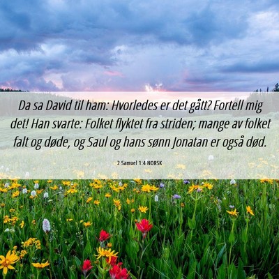 Picture 06 - 2 Samuel 1:4 NORSK - Da sa David til ham: Hvorledes er det gått? - Bible Verse Picture