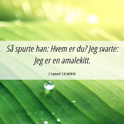 Picture 06 - 2 Samuel 1:8 NORSK - Så spurte han: Hvem er du? Jeg svarte: Jeg er en - Bible Verse Picture