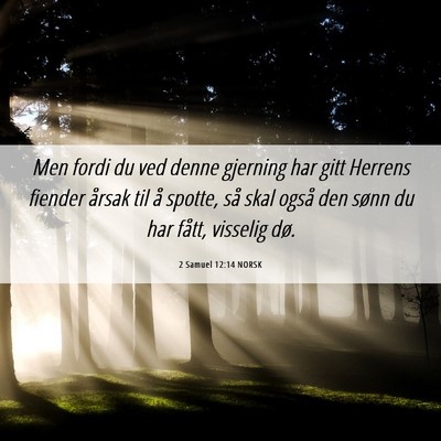 Picture 06 - 2 Samuel 12:14 NORSK - Men fordi du ved denne gjerning har gitt Herrens - Bible Verse Picture