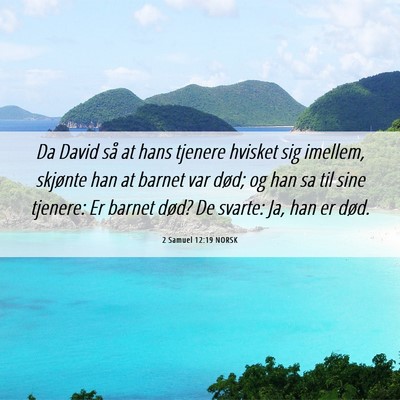 Picture 06 - 2 Samuel 12:19 NORSK - Da David så at hans tjenere hvisket sig imellem, - Bible Verse Picture