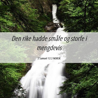 Picture 06 - 2 Samuel 12:2 NORSK - Den rike hadde småfe og storfe i - Bible Verse Picture