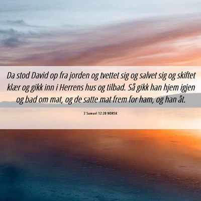 Picture 06 - 2 Samuel 12:20 NORSK - Da stod David op fra jorden og tvettet sig og - Bible Verse Picture