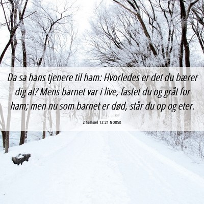 Picture 06 - 2 Samuel 12:21 NORSK - Da sa hans tjenere til ham: Hvorledes er det du - Bible Verse Picture