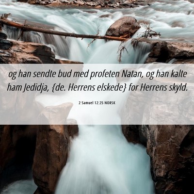 Picture 06 - 2 Samuel 12:25 NORSK - og han sendte bud med profeten Natan, og han - Bible Verse Picture