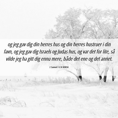 Picture 06 - 2 Samuel 12:8 NORSK - og jeg gav dig din herres hus og din herres - Bible Verse Picture