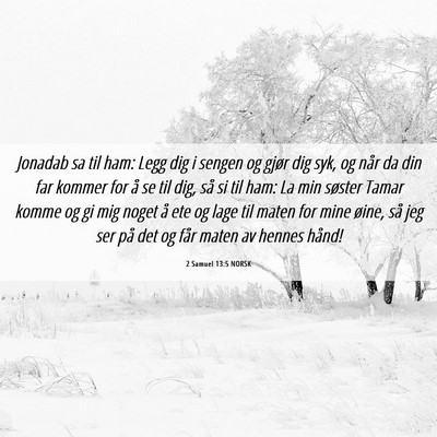 Picture 06 - 2 Samuel 13:5 NORSK - Jonadab sa til ham: Legg dig i sengen og gjør - Bible Verse Picture