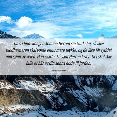 Picture 06 - 2 Samuel 14:11 NORSK - Da sa hun: Kongen komme Herren sin Gud i hu, så - Bible Verse Picture