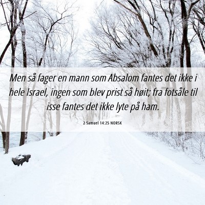 Picture 06 - 2 Samuel 14:25 NORSK - Men så fager en mann som Absalom fantes det ikke - Bible Verse Picture