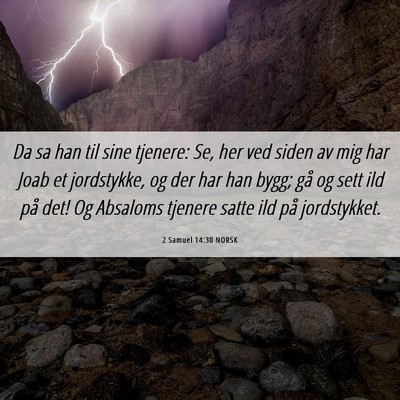 Picture 06 - 2 Samuel 14:30 NORSK - Da sa han til sine tjenere: Se, her ved siden av - Bible Verse Picture