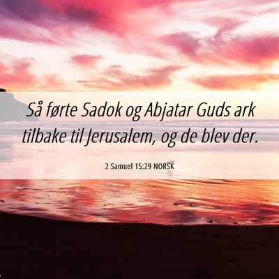 Picture 06 - 2 Samuel 15:29 NORSK - Så førte Sadok og Abjatar Guds ark tilbake til - Bible Verse Picture