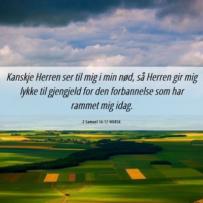 Picture 06 - 2 Samuel 16:12 NORSK - Kanskje Herren ser til mig i min nød, så Herren - Bible Verse Picture