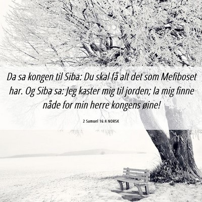 Picture 06 - 2 Samuel 16:4 NORSK - Da sa kongen til Siba: Du skal få alt det som - Bible Verse Picture