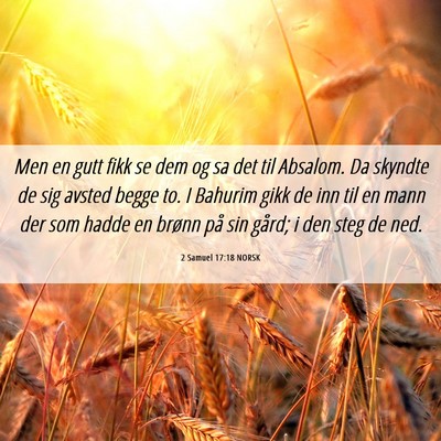 Picture 06 - 2 Samuel 17:18 NORSK - Men en gutt fikk se dem og sa det til Absalom. Da - Bible Verse Picture