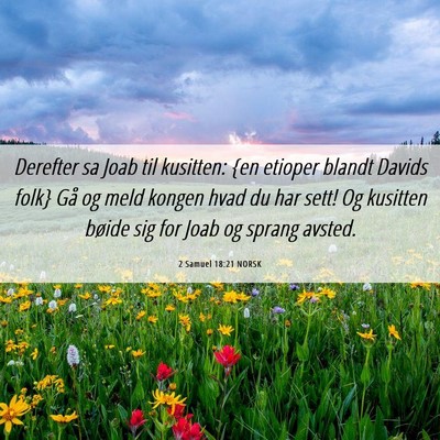 Picture 06 - 2 Samuel 18:21 NORSK - Derefter sa Joab til kusitten: {en etioper blandt - Bible Verse Picture
