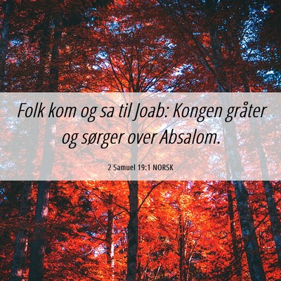 Picture 06 - 2 Samuel 19:1 NORSK - Folk kom og sa til Joab: Kongen gråter og - Bible Verse Picture