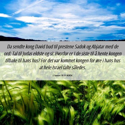Picture 06 - 2 Samuel 19:11 NORSK - Da sendte kong David bud til prestene Sadok og - Bible Verse Picture