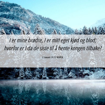 Picture 06 - 2 Samuel 19:12 NORSK - I er mine brødre, I er mitt eget kjød og blod; - Bible Verse Picture