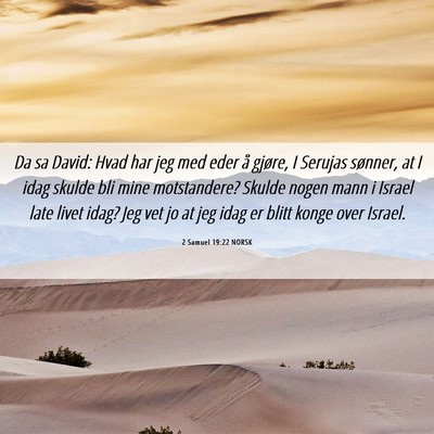 Picture 06 - 2 Samuel 19:22 NORSK - Da sa David: Hvad har jeg med eder å gjøre, I - Bible Verse Picture