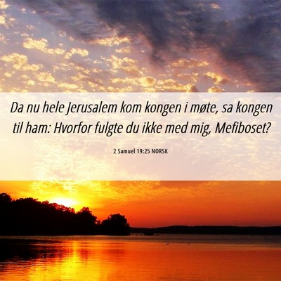 Picture 06 - 2 Samuel 19:25 NORSK - Da nu hele Jerusalem kom kongen i møte, sa - Bible Verse Picture