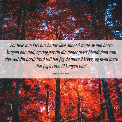 Picture 06 - 2 Samuel 19:28 NORSK - For hele min fars hus hadde ikke annet å vente - Bible Verse Picture