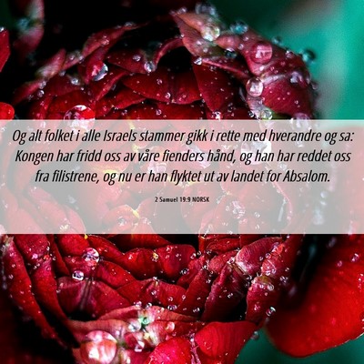 Picture 06 - 2 Samuel 19:9 NORSK - Og alt folket i alle Israels stammer gikk i rette - Bible Verse Picture