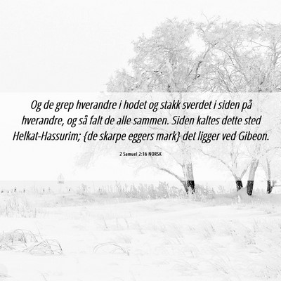 Picture 06 - 2 Samuel 2:16 NORSK - Og de grep hverandre i hodet og stakk sverdet i - Bible Verse Picture