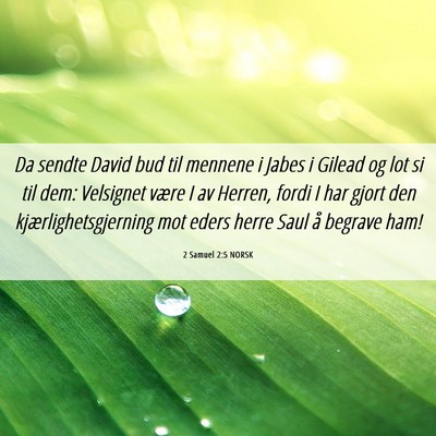 Picture 06 - 2 Samuel 2:5 NORSK - Da sendte David bud til mennene i Jabes i Gilead - Bible Verse Picture