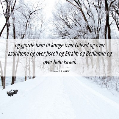 Picture 06 - 2 Samuel 2:9 NORSK - og gjorde ham til konge over Gilead og over - Bible Verse Picture