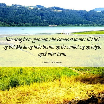 Picture 06 - 2 Samuel 20:14 NORSK - Han drog frem gjennem alle Israels stammer til - Bible Verse Picture