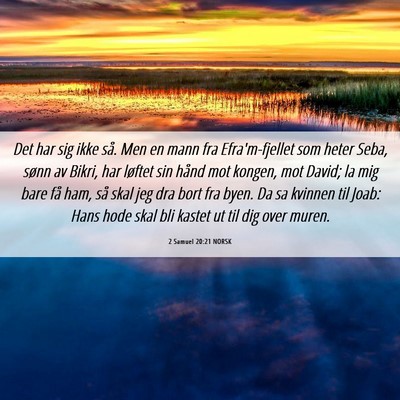 Picture 06 - 2 Samuel 20:21 NORSK - Det har sig ikke så. Men en mann fra - Bible Verse Picture