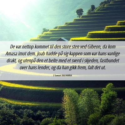 Picture 06 - 2 Samuel 20:8 NORSK - De var nettop kommet til den store sten ved - Bible Verse Picture