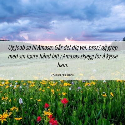 Picture 06 - 2 Samuel 20:9 NORSK - Og Joab sa til Amasa: Går det dig vel, bror? og - Bible Verse Picture