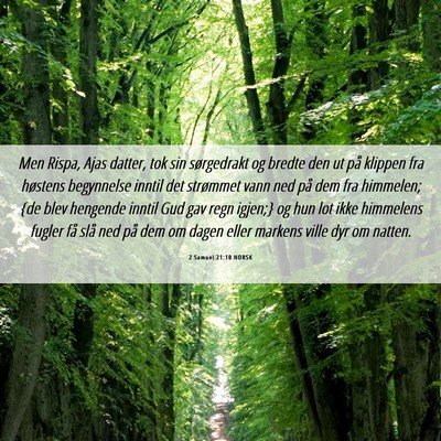 Picture 06 - 2 Samuel 21:10 NORSK - Men Rispa, Ajas datter, tok sin sørgedrakt og - Bible Verse Picture