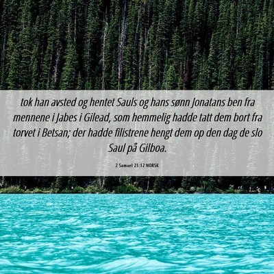 Picture 06 - 2 Samuel 21:12 NORSK - tok han avsted og hentet Sauls og hans sønn - Bible Verse Picture