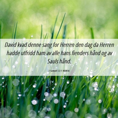Picture 06 - 2 Samuel 22:1 NORSK - David kvad denne sang for Herren den dag da - Bible Verse Picture