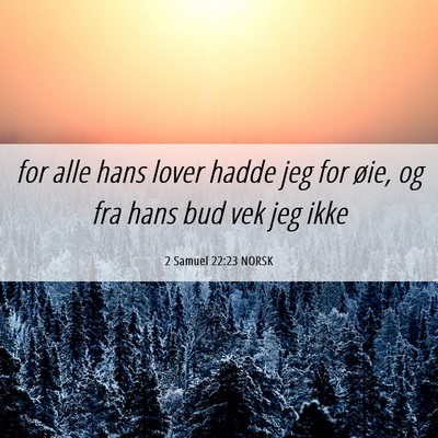 Picture 06 - 2 Samuel 22:23 NORSK - for alle hans lover hadde jeg for øie, og fra - Bible Verse Picture