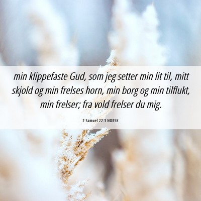 Picture 06 - 2 Samuel 22:3 NORSK - min klippefaste Gud, som jeg setter min lit til, - Bible Verse Picture