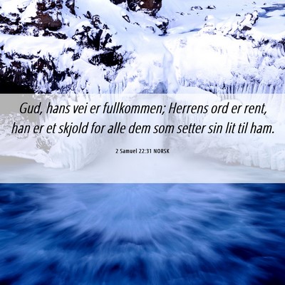 Picture 06 - 2 Samuel 22:31 NORSK - Gud, hans vei er fullkommen; Herrens ord er rent, - Bible Verse Picture