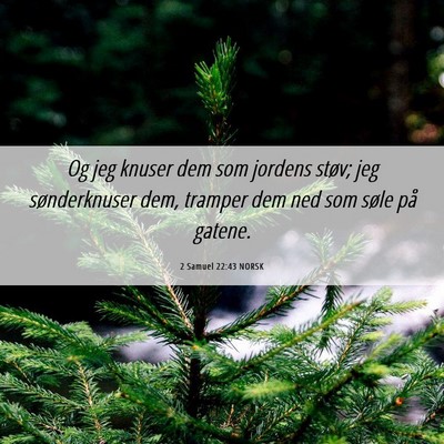 Picture 06 - 2 Samuel 22:43 NORSK - Og jeg knuser dem som jordens støv; jeg - Bible Verse Picture