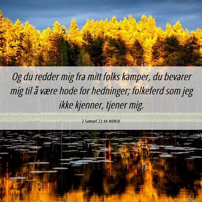 Picture 06 - 2 Samuel 22:44 NORSK - Og du redder mig fra mitt folks kamper, du - Bible Verse Picture